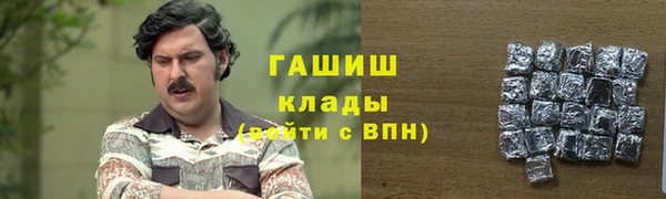 дживик Мегион