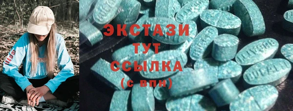 дмт Богданович