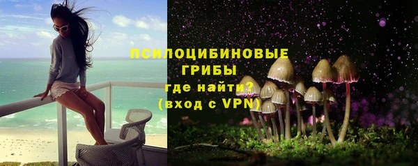 МДПВ Михайловск
