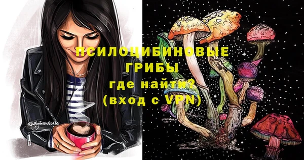 дживик Мегион