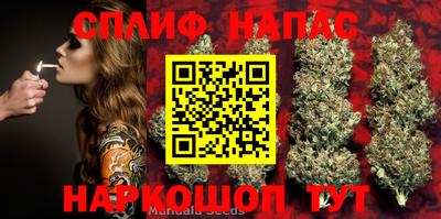 дживик Гагарин