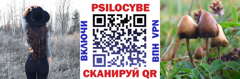 блэк спрут tor  Уварово  Псилоцибиновые грибы Psilocybe 
