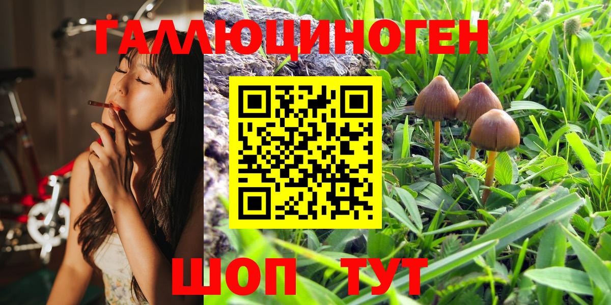 Галлюциногенные грибы MAGIC MUSHROOMS Уварово